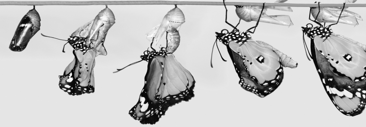 How to communicate during a digital transformation
