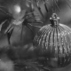 Corporate Gifting in the Festive Season